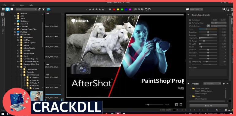 Corel PaintShop Pro Product Key